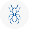 Ant Removals In Woking