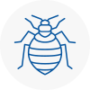 Bed Bug Extermination In Woking