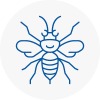 Woking Hornet Nest Removals