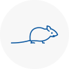 Mice Exterminators In Woking