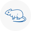 Rat Control Woking
