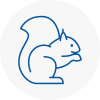 Woking Rodent Removals