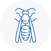 Woking Wasp Nest Removal